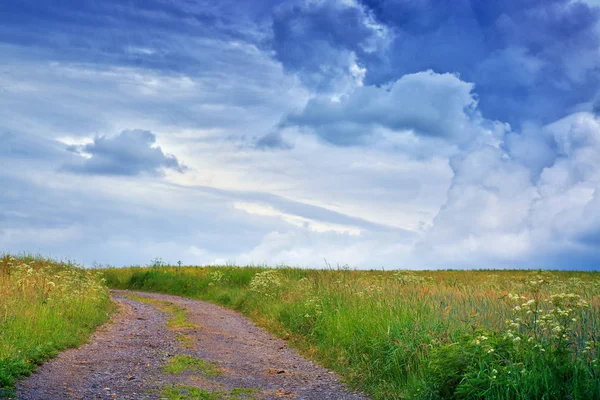 Yeşil alan ve yol, yaz yatay. Doğa arka plan.