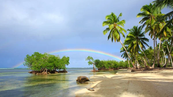 Färgstark regnbåge över Karibiska havet och gröna palmer. Resor bakgrund. — Stockfoto