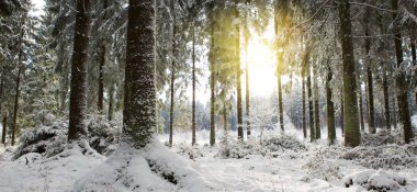 Günbatımı kış orman içinde. Kış Doğa arka plan.