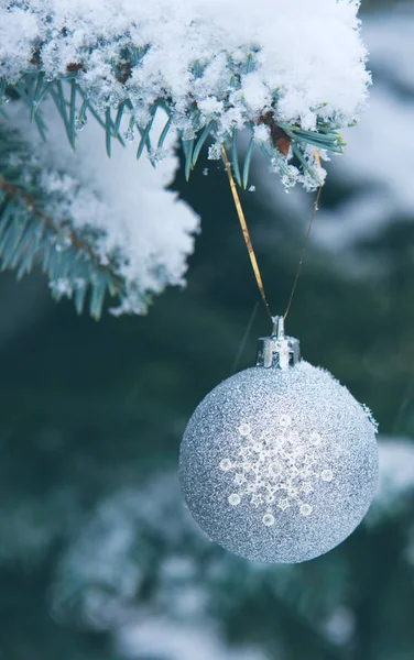 Christmas Ball hanging on a Fir Tree Branch. Christmas Background. — Stock Photo, Image