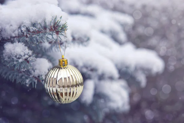 Palla di Natale appesa ad un ramo di abete. Sfondo di Natale. — Foto Stock