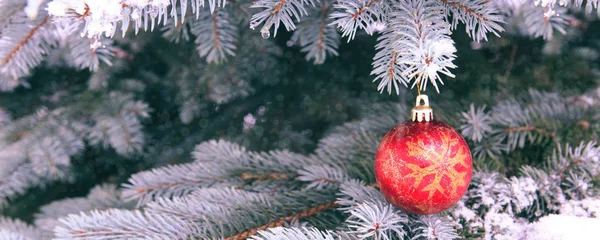 Karácsonyi bál lóg egy fenyőfa ágon. Karácsonyi háttér. — Stock Fotó