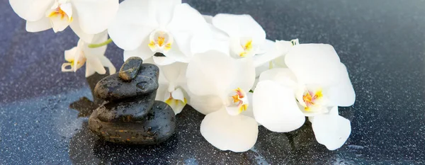 Witte orchideeën bloemen en spa stenen. Spa achtergrond. — Stockfoto