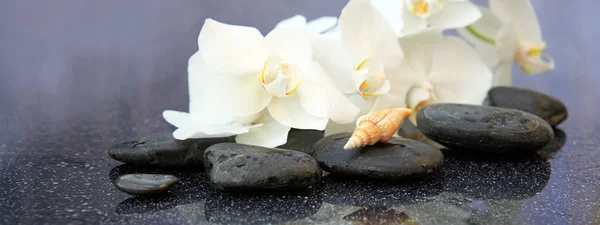 Flores brancas de orquídeas e pedras de spa. fundo Spa . — Fotografia de Stock