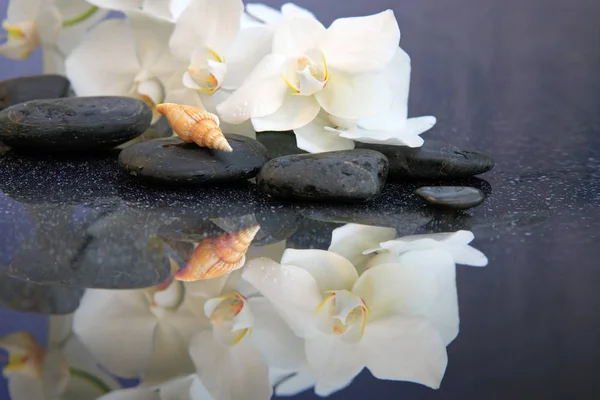 Белые орхидеи цветы и курортные камни. Спа фон . — стоковое фото