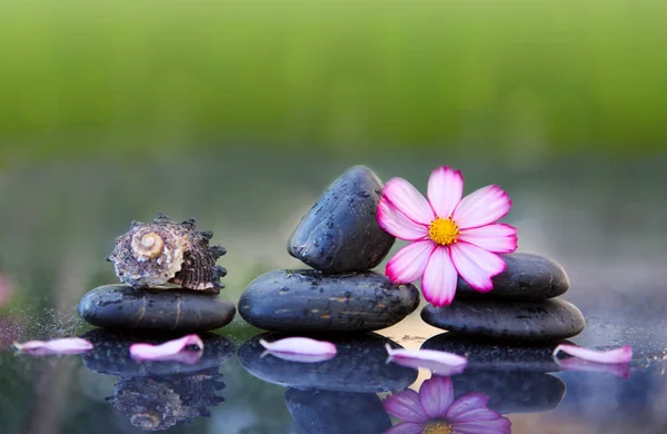 粉红色的花朵和温泉石与水滴隔离在绿色背景 — 图库照片