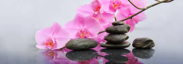 Fiori di orchidee rosa e pietre termali. Sfondo Spa . — Foto Stock