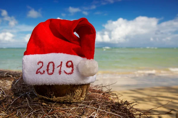 Ano 2019 escrito no chapéu de Papai Noel na praia caribenha. Ano Novo fundo — Fotografia de Stock