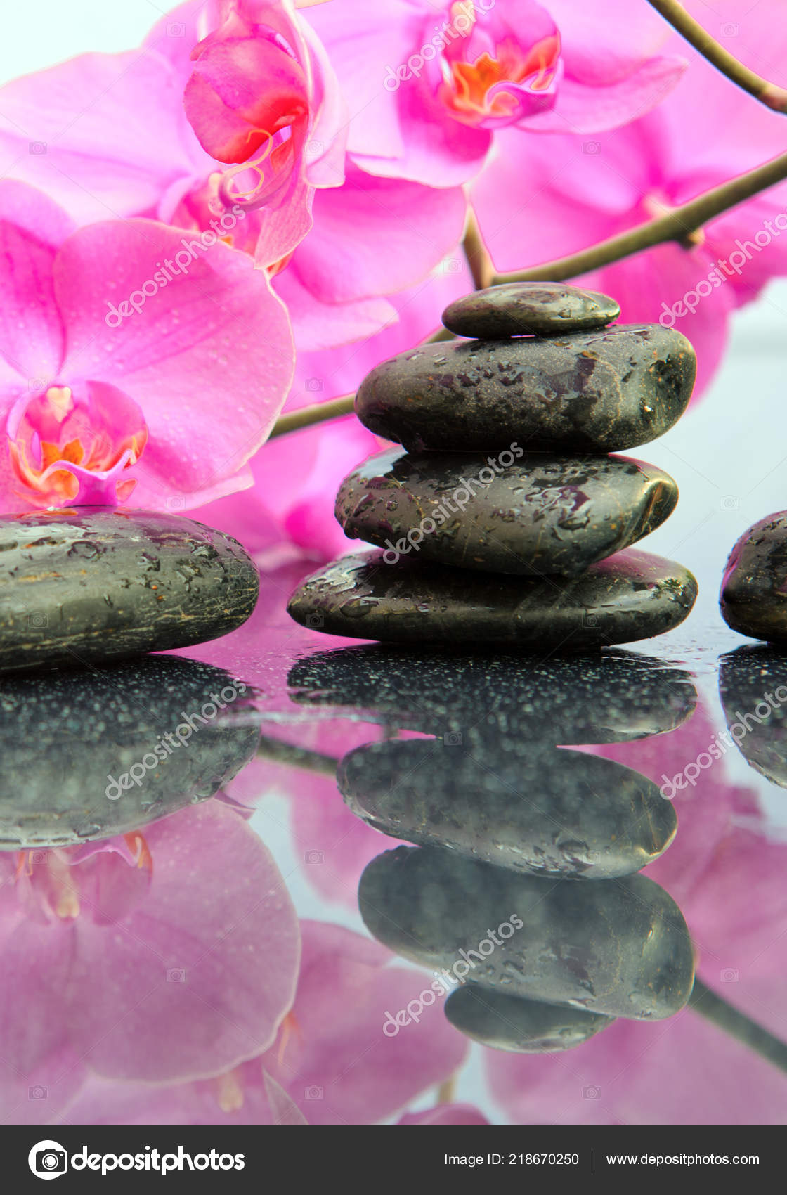Pink orchids flowers and spa stones . Spa background. Stock Photo by  ©swkunst 218670250