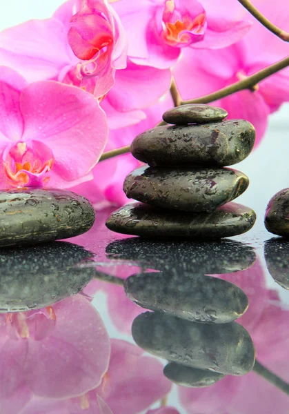 Flores cor-de-rosa de orquídeas e pedras spa. fundo Spa . — Fotografia de Stock