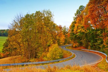 Dolambaçlı yol sonbahar ormanın içinde. Doğa arka plan.