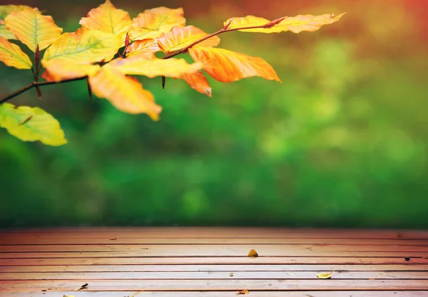 Gelbe Herbstblätter und Holzbrücke isoliert . — Stockfoto