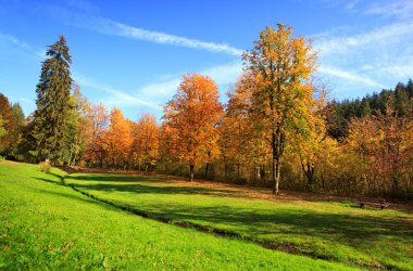 Ağaçlar ve Almanya'da mavi gökyüzü ile renkli Sonbahar Park.