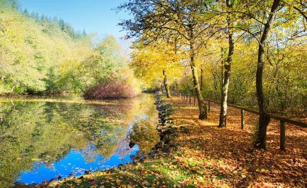Colorful autumn in the city park with lake. Autumn Landscape. — Stock Photo, Image