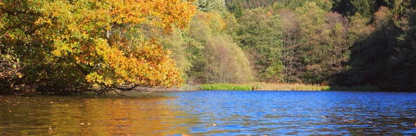 Желтые осенние деревья и лесное озеро. Осенние деревья Германии . — стоковое фото