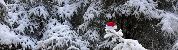 Vörös Mikulás kalap a fenyőfán a téli erdőben. Karácsonyi háttér. — Stock Fotó
