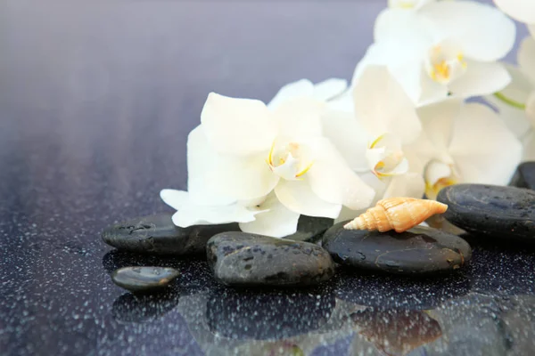 Květy bílé orchideje a wellness kameny. Lázeňské pozadí. — Stock fotografie