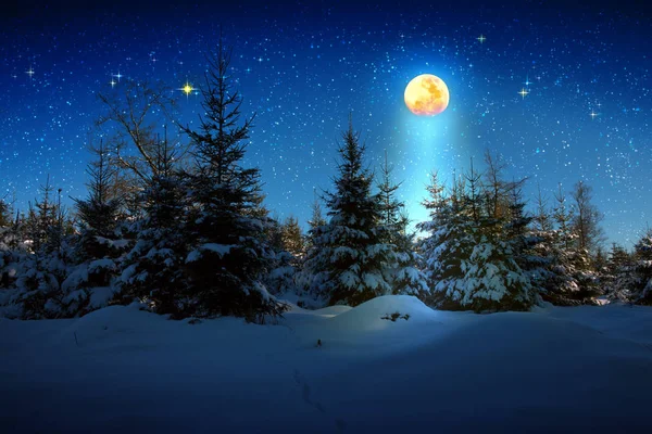 Χριστουγεννιάτικο φόντο με αστέρια και μεγάλο φεγγάρι στο δάσος του χειμώνα. — Φωτογραφία Αρχείου