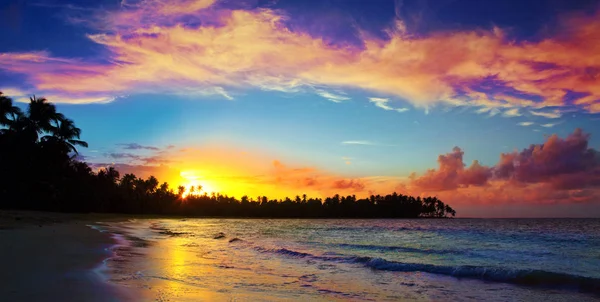 Coucher de soleil caribéen sur une plage tropicale avec cocotiers  . — Photo