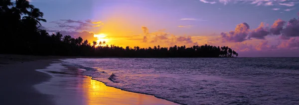 Karaibski zachód słońca na tropikalnej plaży z palmami kokosowymi . — Zdjęcie stockowe