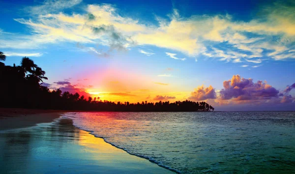 Coucher de soleil caribéen sur une plage tropicale avec cocotiers  . — Photo