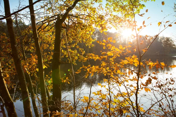 Autunno colorato nel parco cittadino con lago. Paesaggio autunnale . — Foto Stock