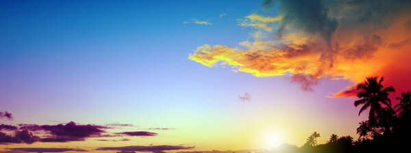 Travel background at sunrise with coconut palm trees .Colorful sunrise on tropical beach.