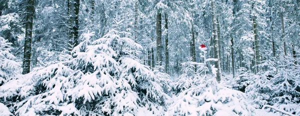 Red Santa Claus klobouk na jedli v zimním lese. Vánoční pozadí. — Stock fotografie