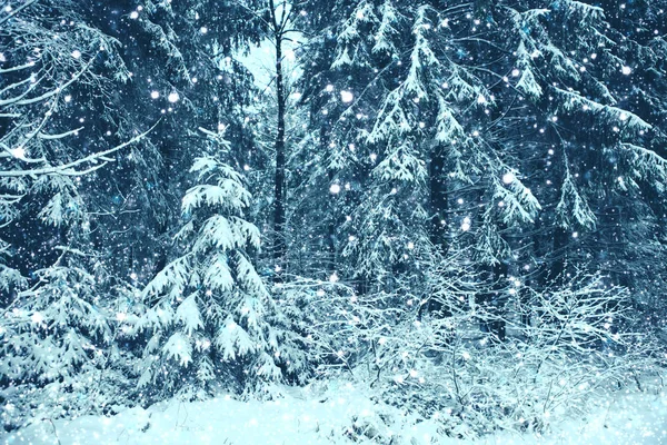 Nevadas en el bosque invernal. Fondo natural con nieve. — Foto de Stock