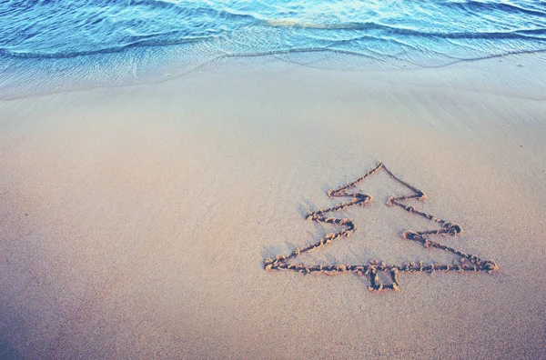 Fir tree drawing on the sand near the sea . Christmas background. — Stock Photo, Image