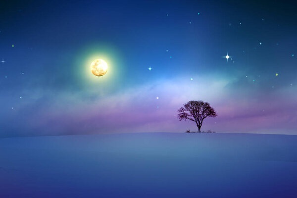 Silhouette of tree and full moon on colorful star sky.