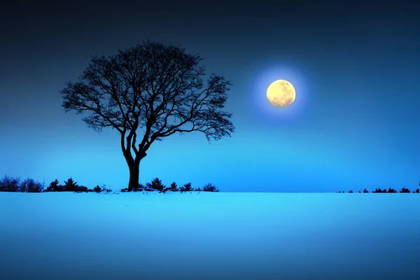 Winterlandschaft mit schwarzem Baum und Vollmond. — Stockfoto