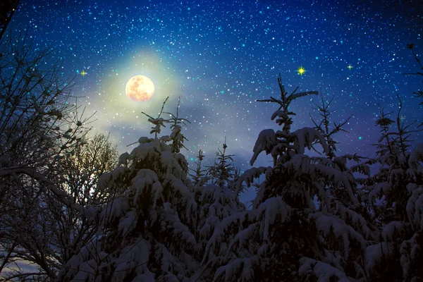 Çam ağaçları ve dolunay kış manzarası kar ile kaplı. — Stok fotoğraf
