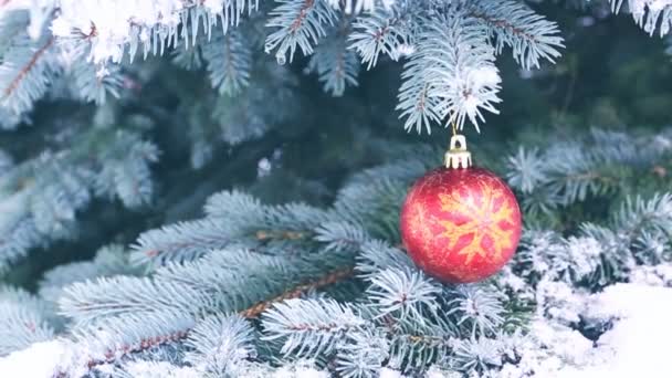 Kerst bal opknoping op een boomtak Fir. Kerstmis achtergrond met sneeuwval. — Stockvideo