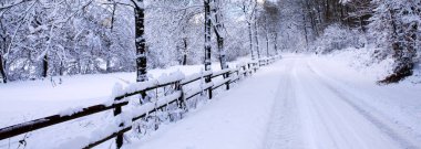 Alman ormanlarında kış ağaçları ve yollar karla kaplı..
