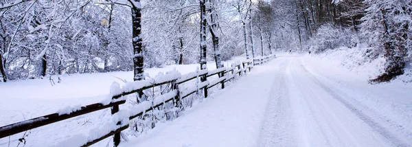 Árvores de inverno e estrada na floresta alemã com neve. — Fotografia de Stock