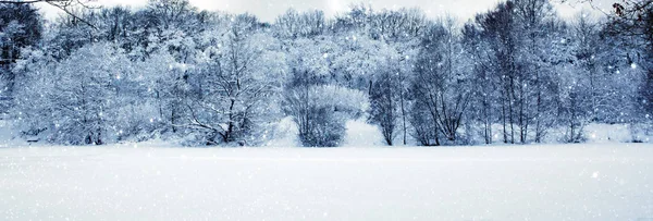 冬天的风景与雪覆盖的树木。自然背景. — 图库照片