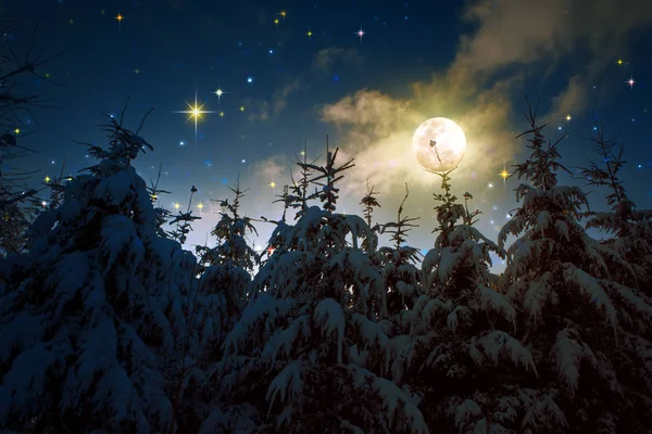 Paesaggio invernale con abeti innevati e luna piena . — Foto Stock