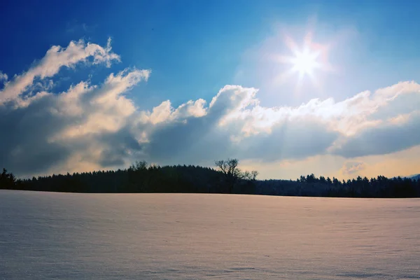 Paysage hivernal au coucher du soleil avec arbres et champs . — Photo