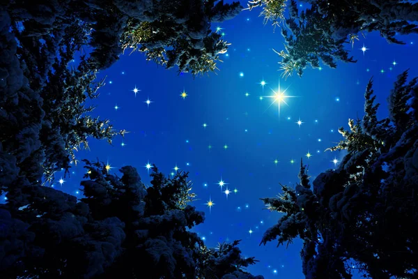 Téli táj a hóval borított fenyő fák, és a csillagok az égen. — Stock Fotó