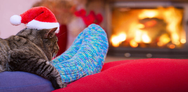 Gray Cat with Santa hat and a fireplace.