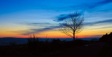 Günbatımı ağaçlar altında. Doğa günbatımı arka plan.