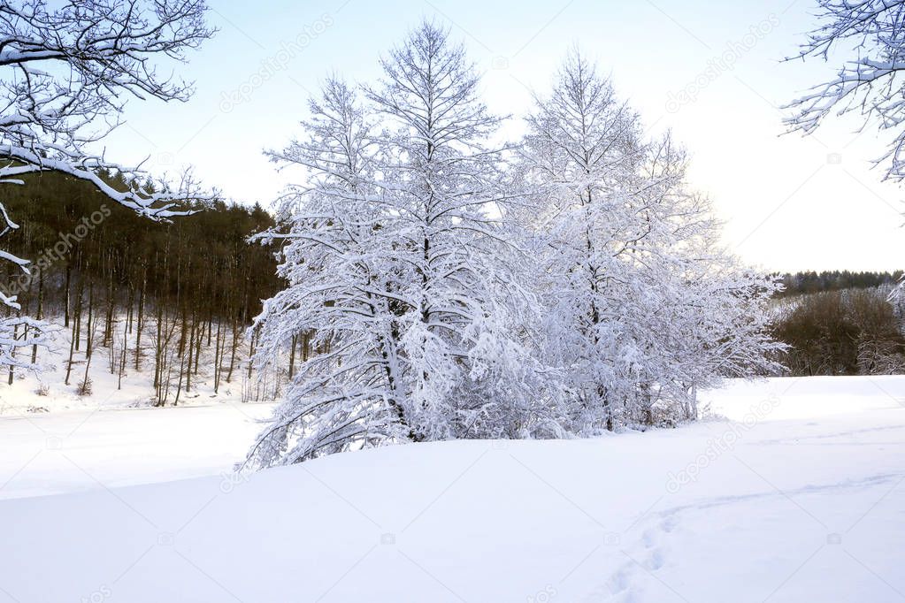 Winter landscape with snow covered trees. Nature background.