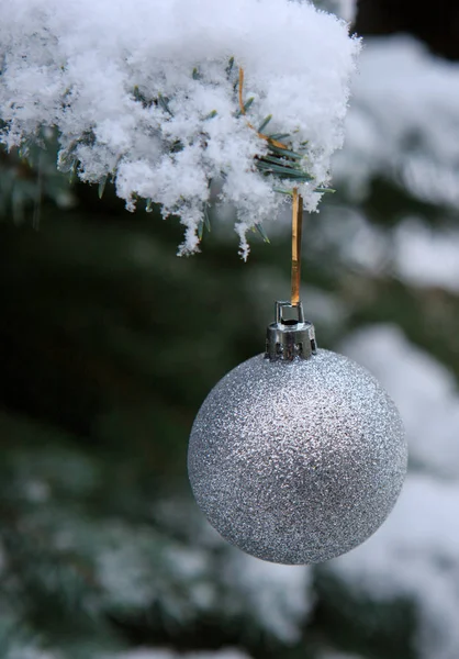 Bola de Navidad colgando de una rama de abeto. Fondo de Navidad. — Foto de Stock