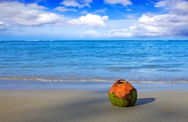 Cocktail en noix de coco sur la plage caribéenne.Fond de voyage . — Photo