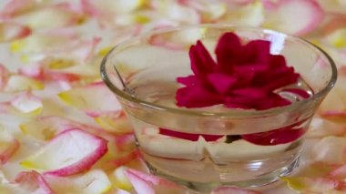 Kırmızı gül yaprakları ve su bir kase. Rosa döndürme