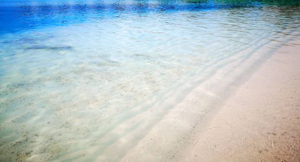 Spiaggia tropicale delle Maldive con sabbia bianca e cielo blu. — Foto Stock