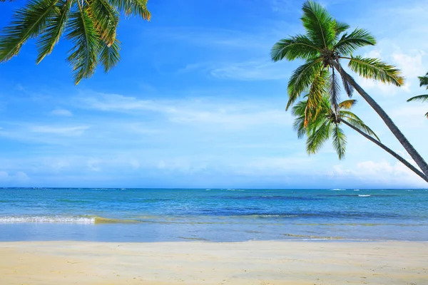 Caribbean sea and green palm trees on white tropical beach.