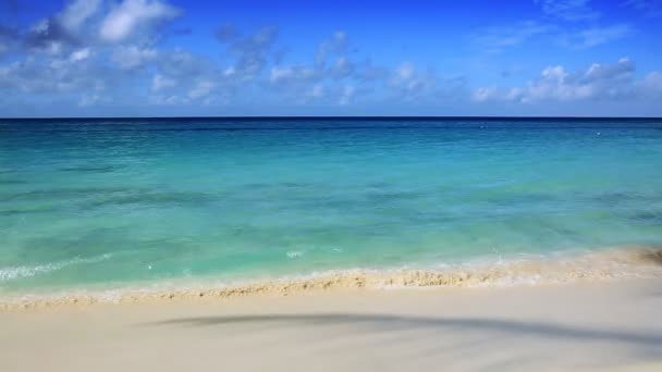 Mariene uitzicht over Caribische zee met turquoise water op witte zandstrand. — Stockvideo