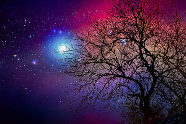 Stars in the colorful night sky and tree. Abstract space background. Full moon and star sky.